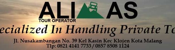 alimas travel tour operator